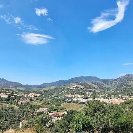 Apartment : Magnifique T2 Avec Terrasse Et Garage - Fr-1-309-476 Banyuls-sur-Mer